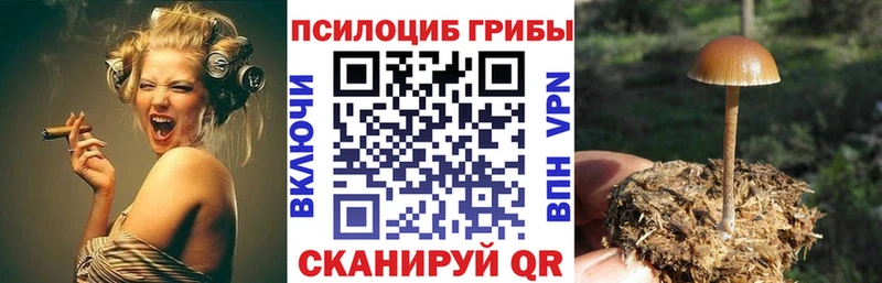 Галлюциногенные грибы прущие грибы blacksprut рабочий сайт Севастополь