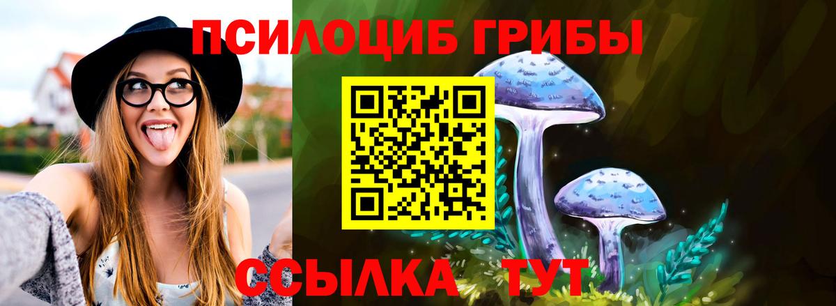 магазин  наркотиков  Галлюциногенные грибы MAGIC MUSHROOMS  Вход с VPN  Севастополь 