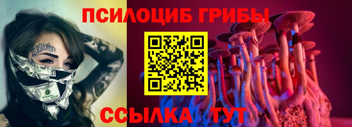 Галлюциногенные грибы мухоморы  Псилоцибиновые грибы Psilocybe  Севастополь 