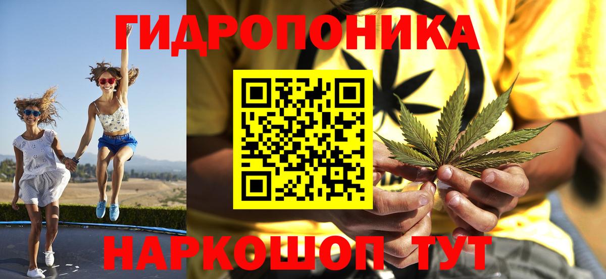 Марихуана индика  Вход с VPN  Севастополь  Бошки Шишки White Widow  Каннабис конопля 